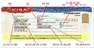 韓國(guó)簽證類型及門票預(yù)定指南 輕松規(guī)劃您的韓國(guó)之旅